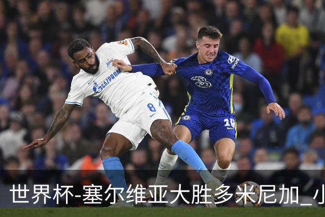 世界杯-塞尔维亚大胜多米尼加 小组第二进八强