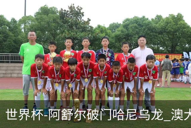 世界杯-阿舒尔破门哈尼乌龙 澳大利亚1-1埃及进加时